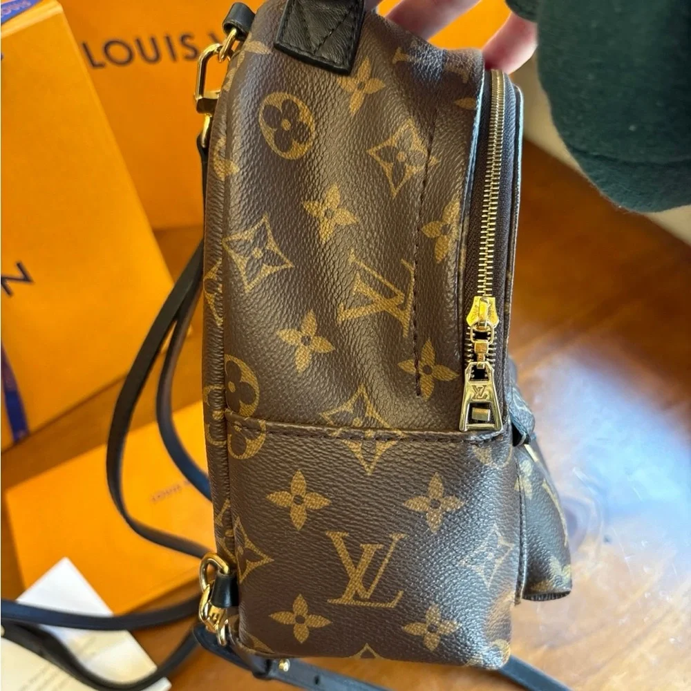 Authentic Louis Vuitton Palm Spings Mini - Picture 6 of 12